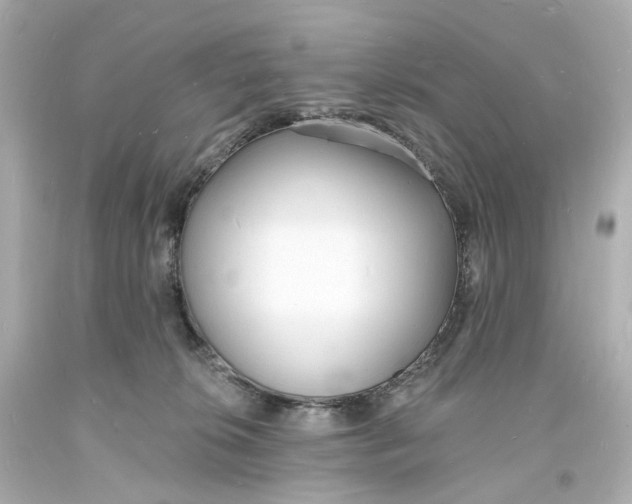 X0000093600276200711051204