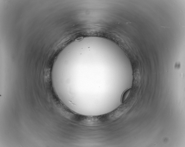 X0000093600278200711051204