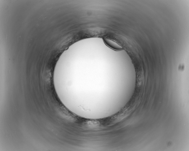 X0000093600279200711051204