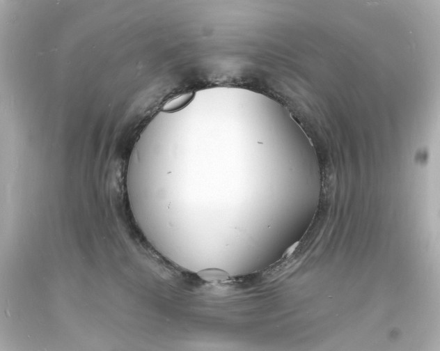 X0000093600280200711051204