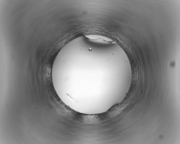 X0000093600281200711051204