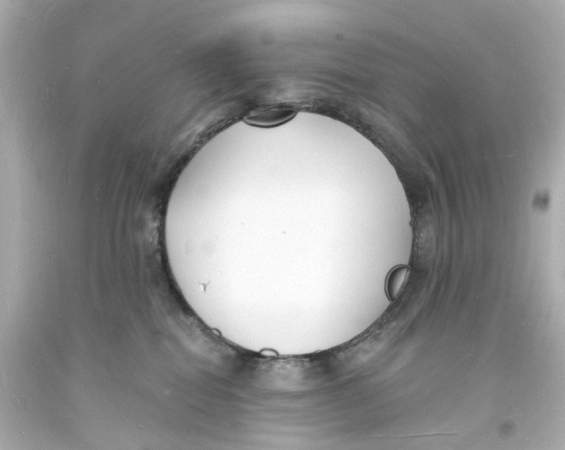 X0000093600282200711051205