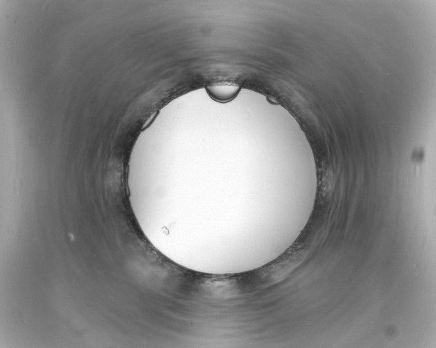 X0000093600283200711051205