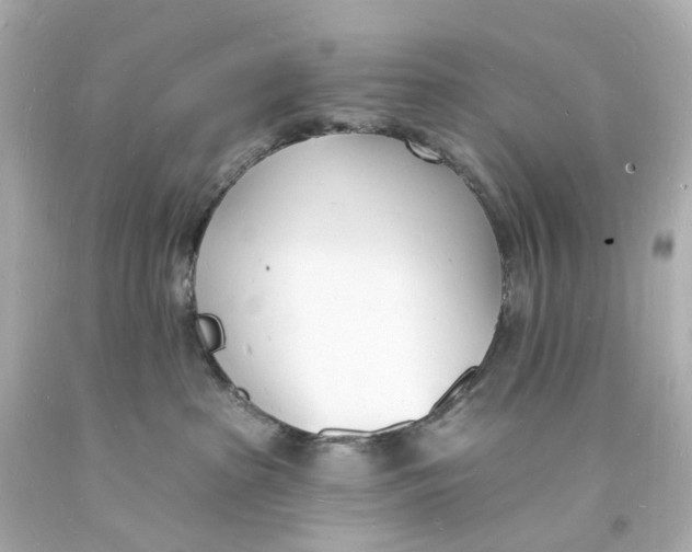 X0000093600285200711051205