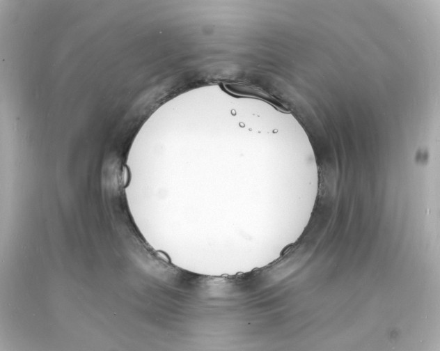 X0000093600287200711051205