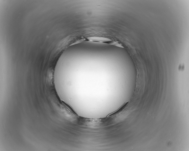 X0000093600288200711051205