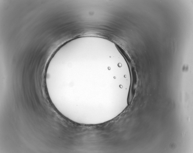 X0000093600289200711051204