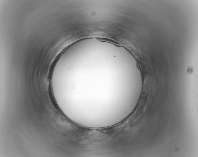 X0000093600290200711051204