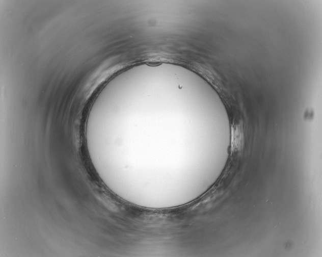 X0000093600291200711051204