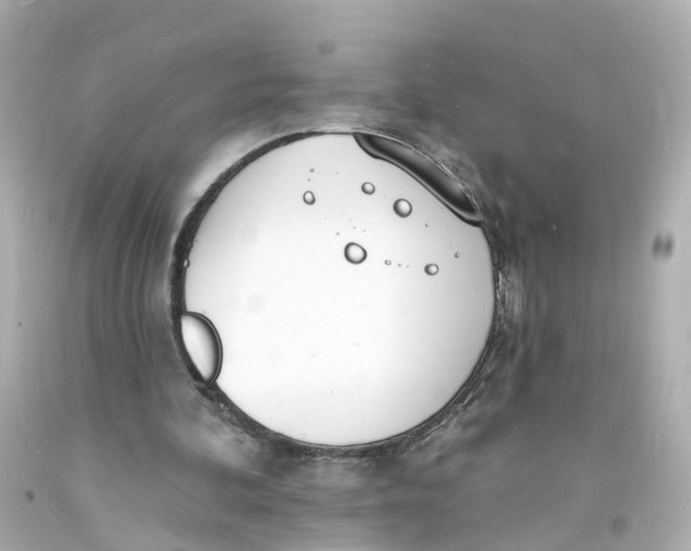 X0000093600292200711051204