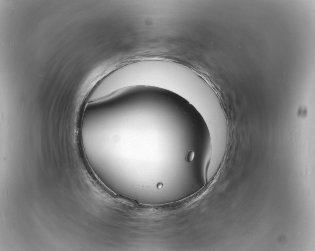 X0000093600293200711051204