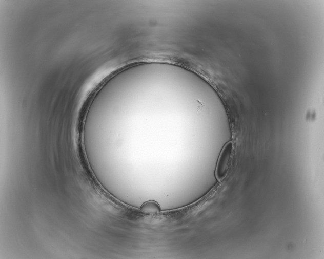 X0000093600294200711051204