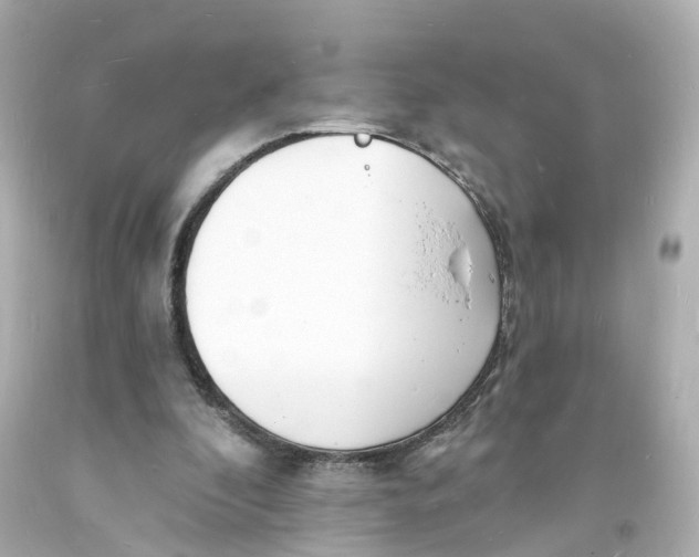 X0000093600296200711051204