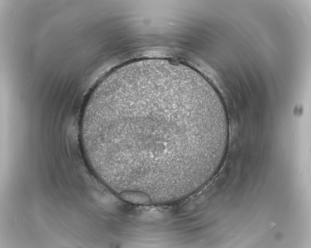 X0000093600297200711051204