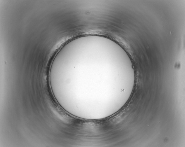 X0000093600298200711051204