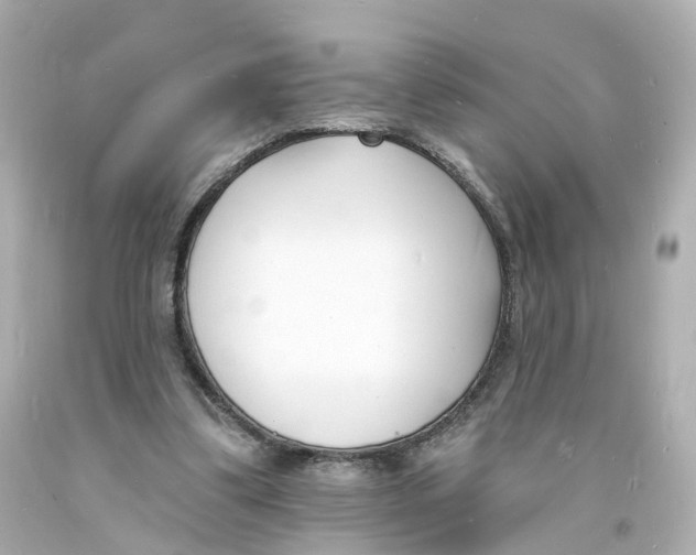 X0000093600299200711051204