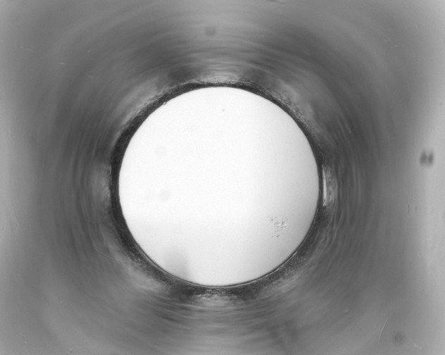 X0000093600300200711051204