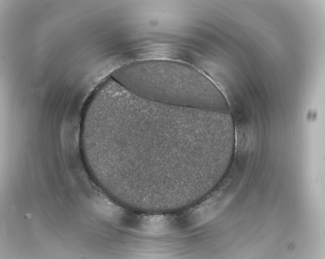 X0000093600301200711051204