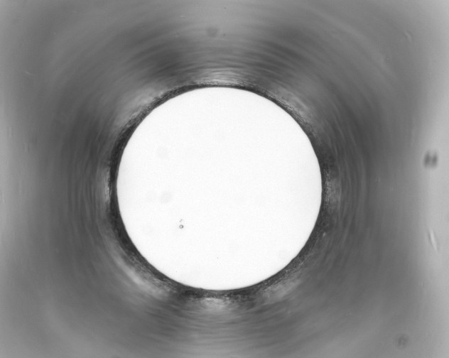 X0000093600302200711051204