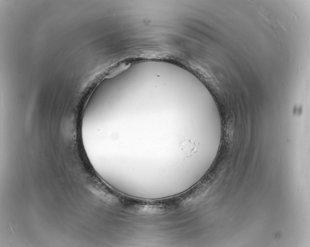 X0000093600303200711051204