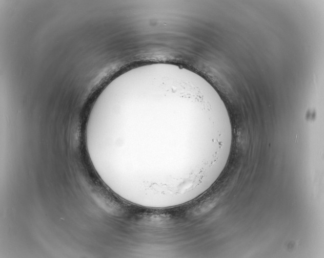 X0000093600304200711051204