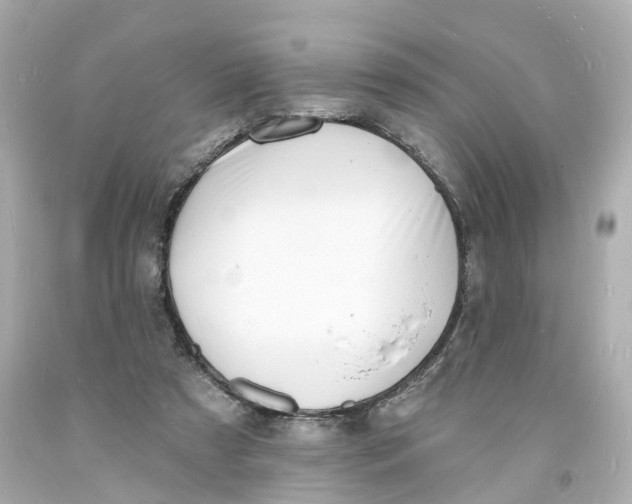 X0000093600305200711051203