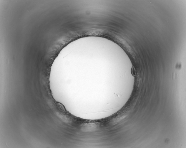 X0000093600307200711051203