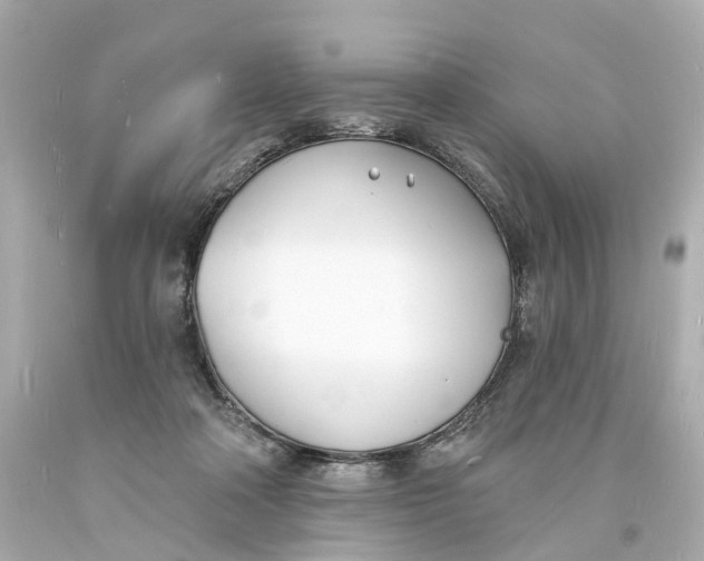 X0000093600314200711051203