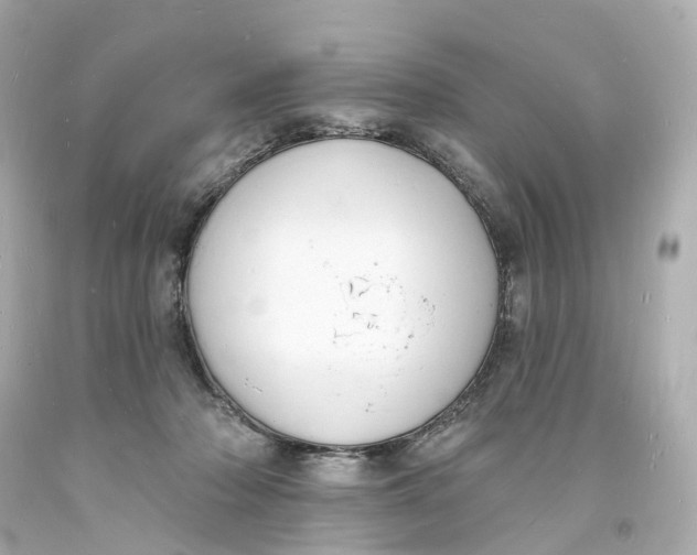 X0000093600318200711051203