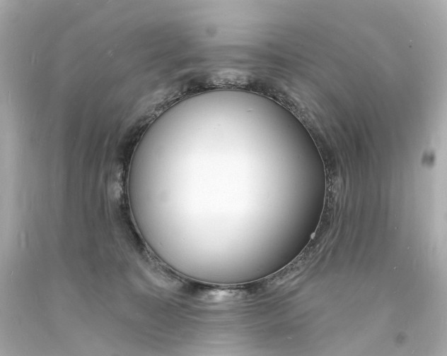 X0000093600323200711051203