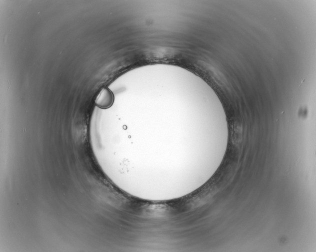 X0000093600324200711051203