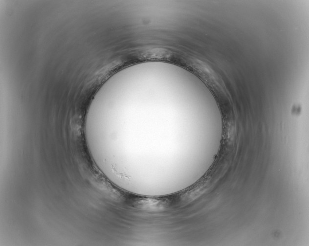 X0000093600326200711051203