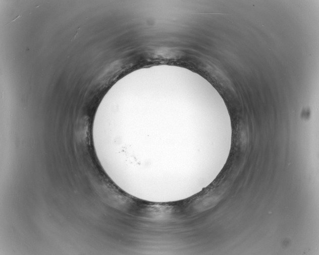 X0000093600328200711051203