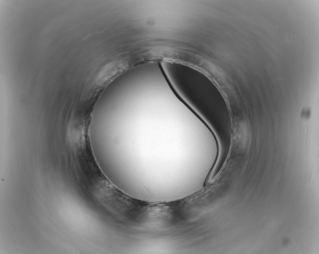 X0000093600333200711051203