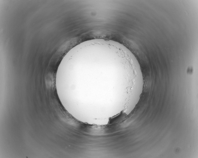 X0000093600335200711051203