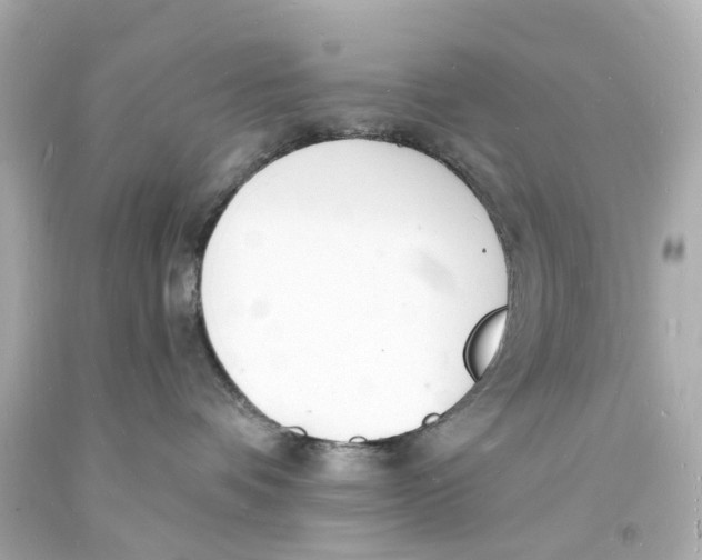 X0000093600336200711051203