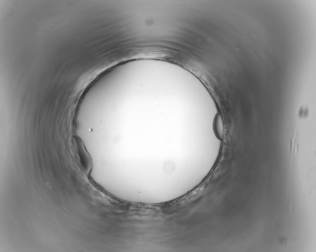 X0000093600337200711051203