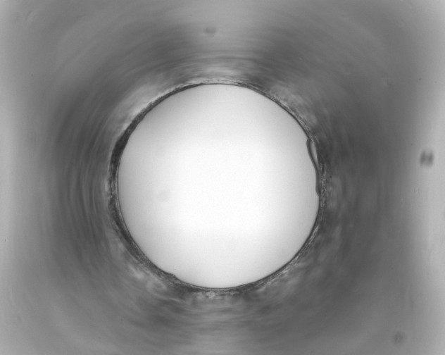 X0000093600338200711051203