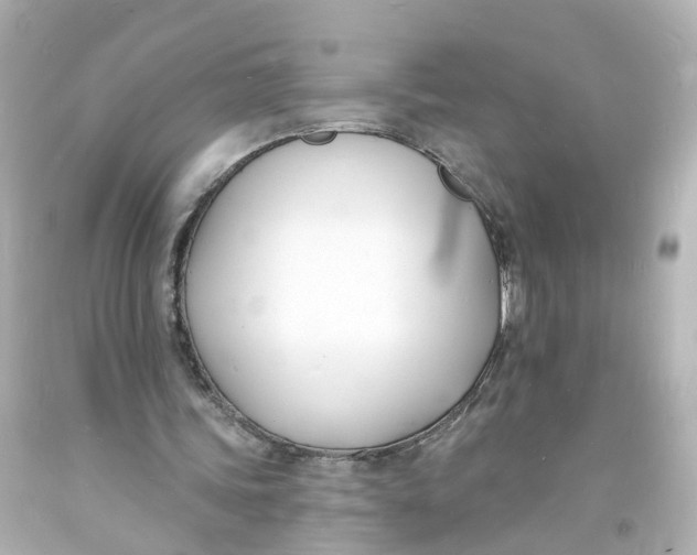 X0000093600339200711051203