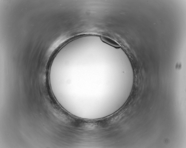 X0000093600344200711051203