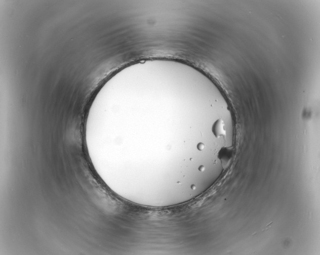 X0000093600345200711051203