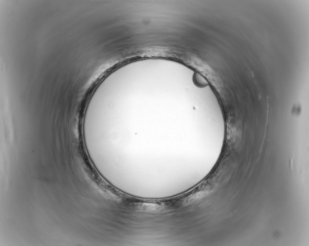 X0000093600347200711051203