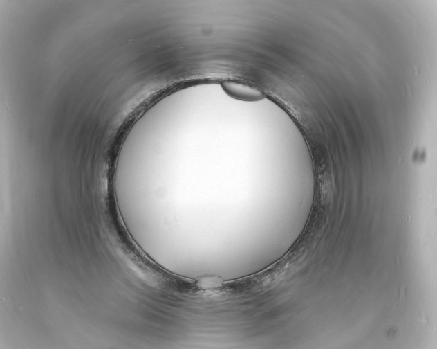 X0000093600350200711051203