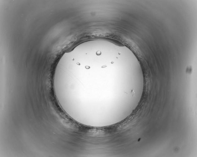 X0000093600354200711051203