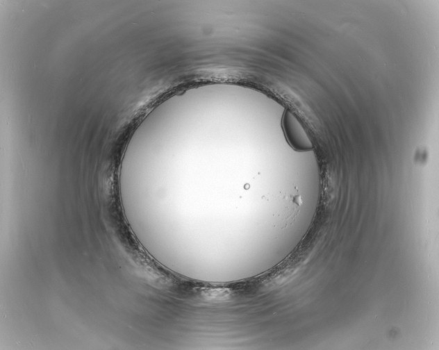 X0000093600355200711051203