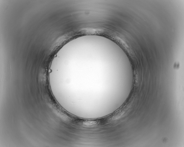 X0000093600357200711051203