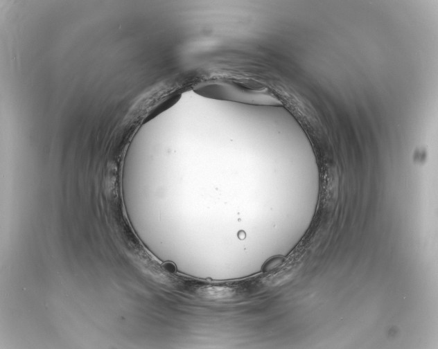 X0000093600361200711051203