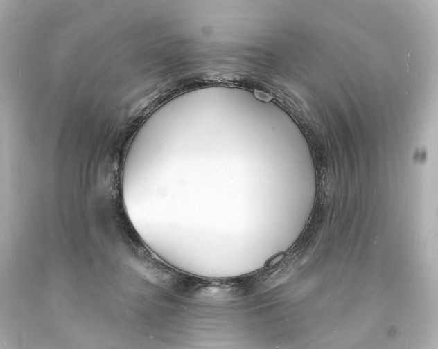 X0000093600364200711051203