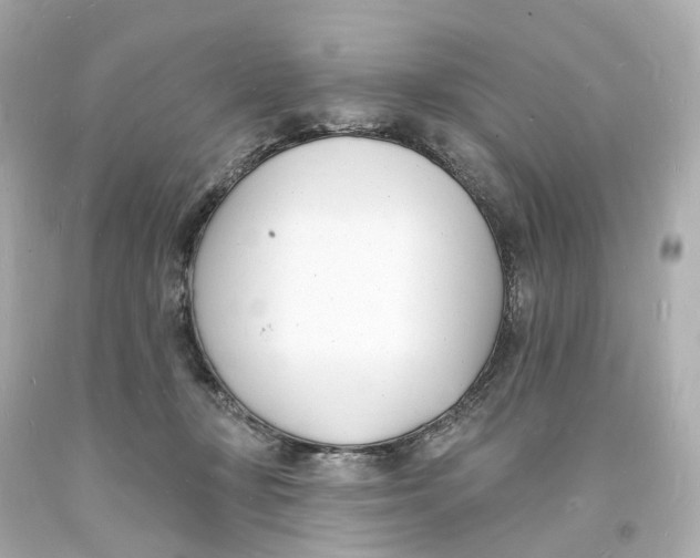 X0000093600367200711051203