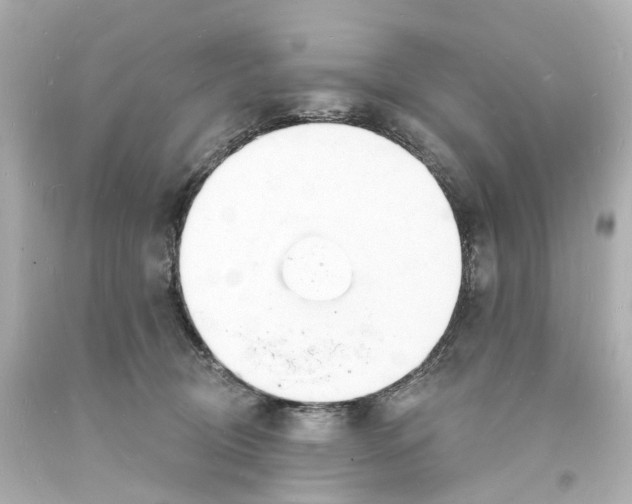 X0000093600370200711051203